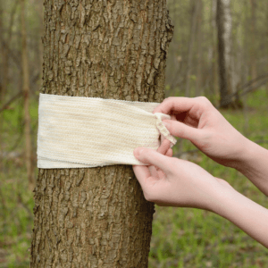 lepovy-pas-na-stromy-rastlinkovo