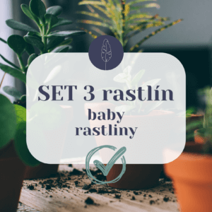 set-baby-rastlin-rastlinkovo