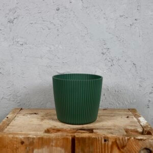 Prosperplast-plastovy-kvetinac-Milly-round-pine-green-rastlinkovo