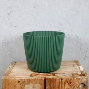 Prosperplast-plastovy-kvetinac-Milly-round-pine-green-rastlinkovo