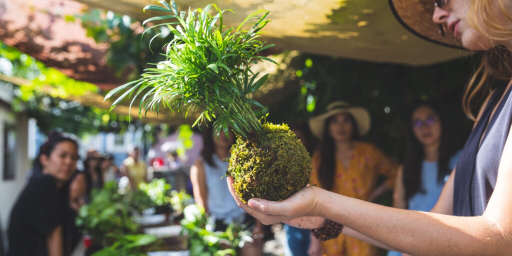 kokedama-rastlinkovo