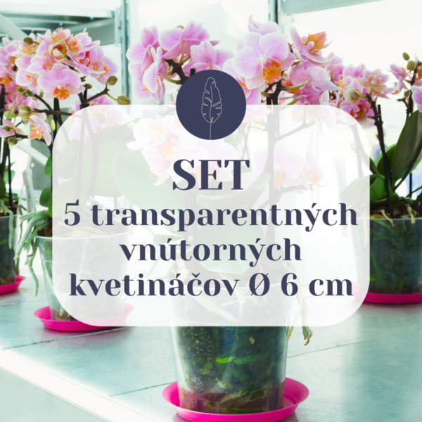 set-5-transparentnych-vnutornych-kvetinacov-rastlinkovo