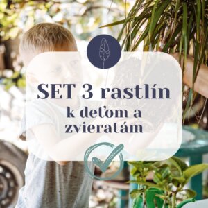 set-3-rastlin-k-detom-a-zvieratam-rastlinkovo