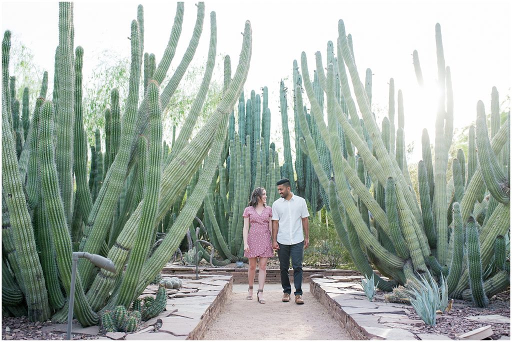 DesertBotanicalGarden PortraitSession RohinAndTaylor KSLWedding1 1024x684 1