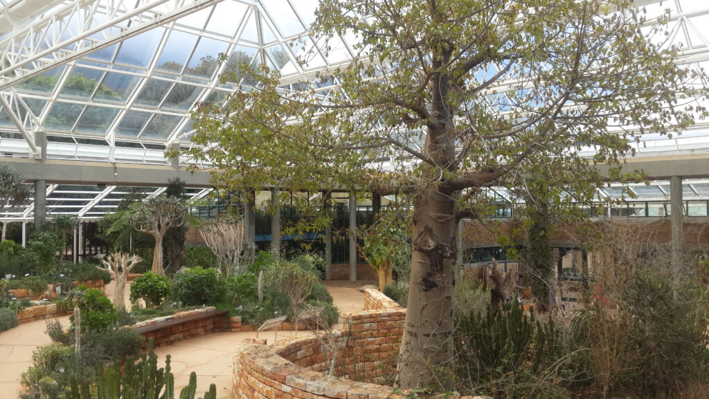 The Botanical Society Conservatory