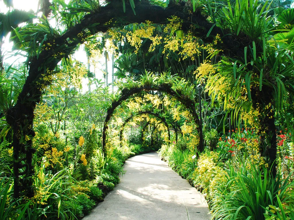 city parks singapore botanic garden.jpg