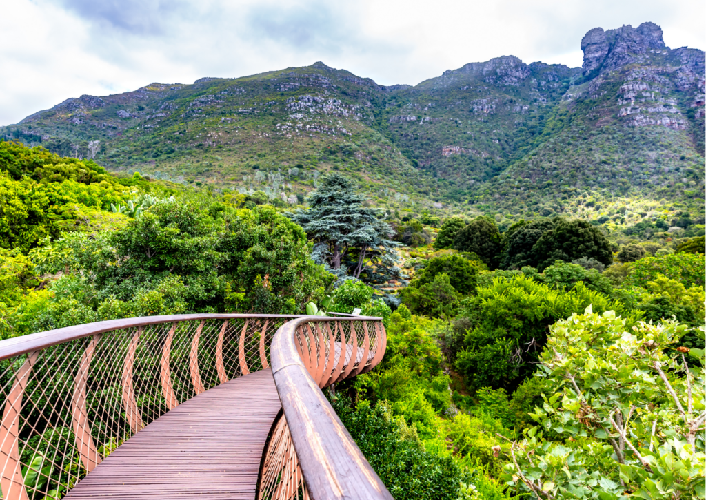 picture of eastern slopes of table mountain from k9bda540