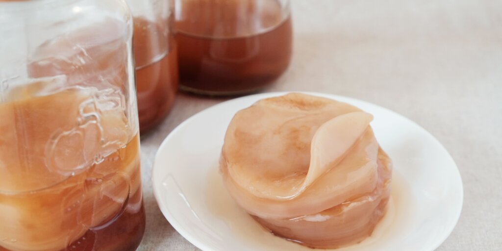 kombucha-scoby-rastlinkovo